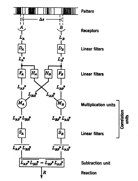 Hassenstein-Reichardt Detector